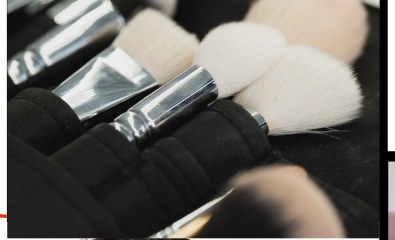 Professional makeup brush set